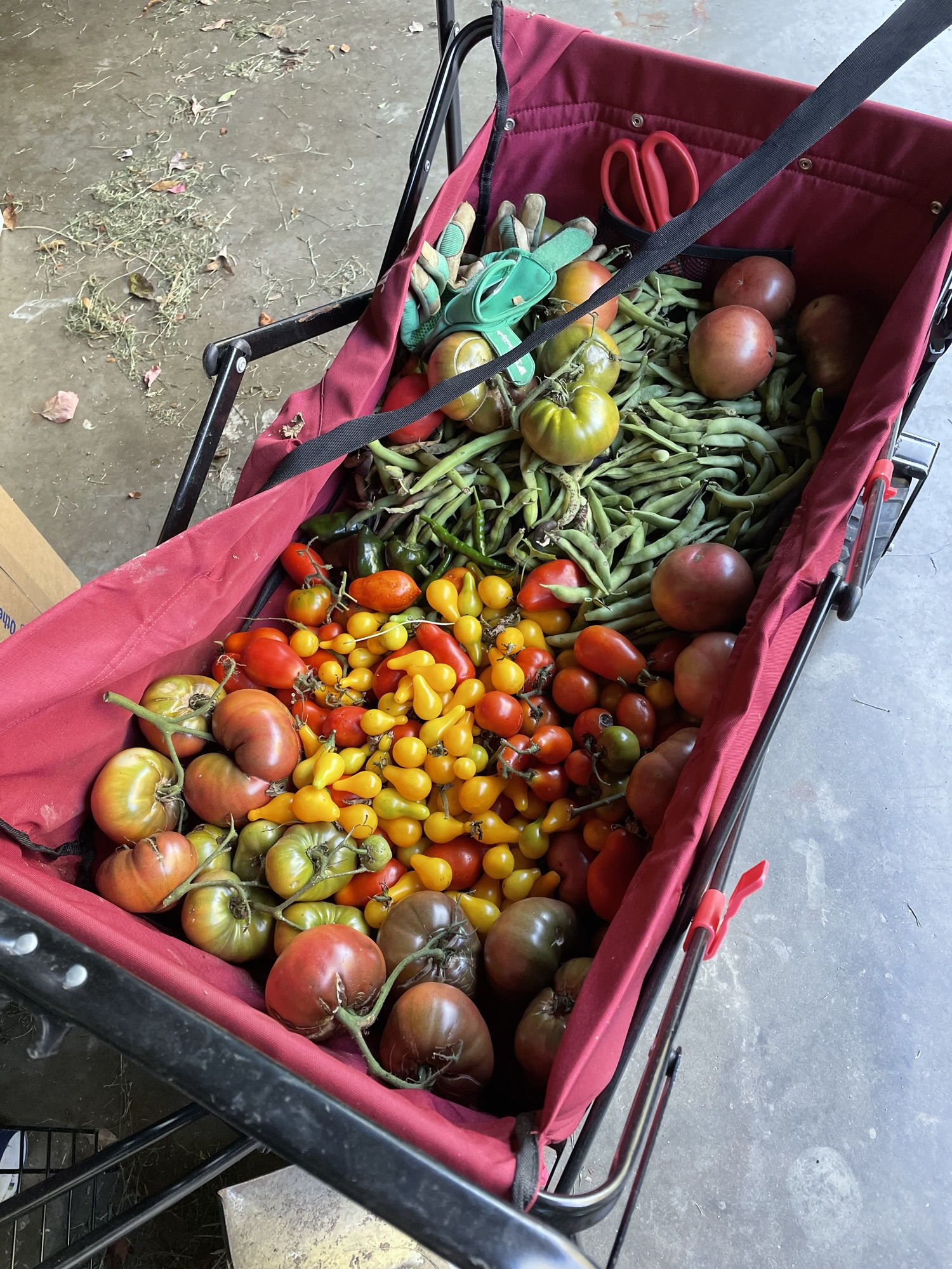 A Little Introduction